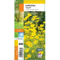 COREOPSIS verticillata...
