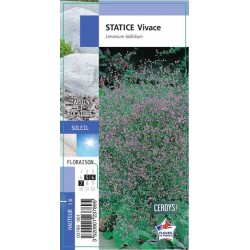 LIMONIUM G8