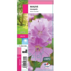 MALVA moschata G8
