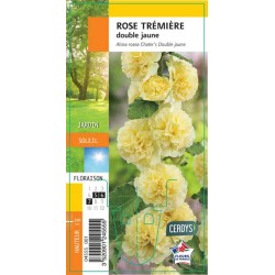 ALCEA fleur double jaune G8