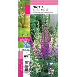 DIGITALIS purpurea...