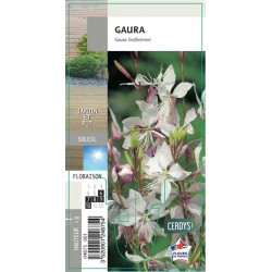 GAURA G8