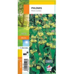 PHLOMIS G8
