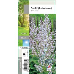 SALVIA assorti G8