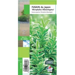 EUONYMUS japonicus...
