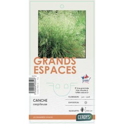DESCHAMPSIA cespitosa C2L-RC