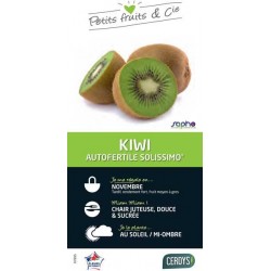 KIWI autofertile Solissimo®...