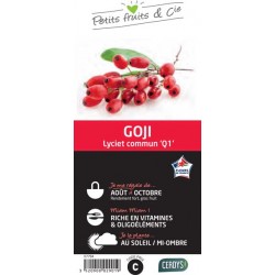 GOJI 'Q1' C1.5L