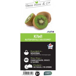 KIWI autofertile Solissimo®...