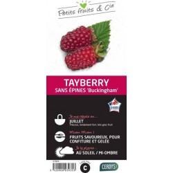 TAYBERRY 'Buckingham' C1.5L