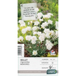 DIANTHUS Scent First®...