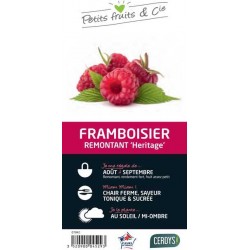 FRAMBOISIER 'Heritage' C3L