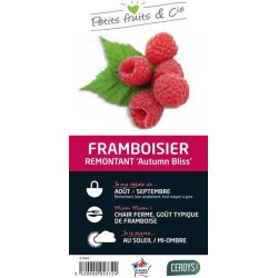 FRAMBOISIER Blissy® C3L