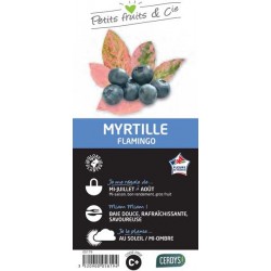 MYRTILLIER 'Flamingo' C1.5L