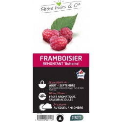 FRAMBOISIER 'Boheme' C1.5L