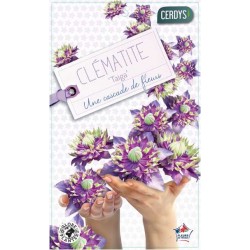 CLEMATIS 'Taiga' ECH 90/120...