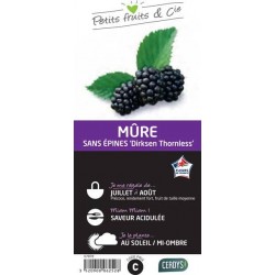 MURIER Dirksen® C1.5L