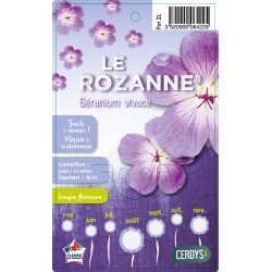 GERANIUM Rozanne® mauve C2L-RC