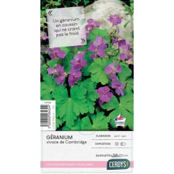 GERANIUM cantabrigiense C2L-RC