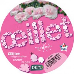 DIANTHUS Scent First®...