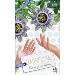 PASSIFLORA caerulea PALIS...