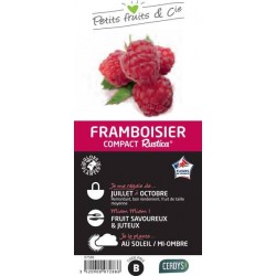 FRAMBOISIER Rustica®...