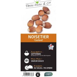 NOISETIER 'Cosford' C1.5L
