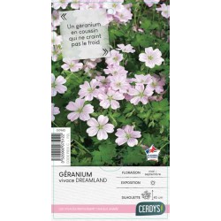 GERANIUM 'Dreamland' C2L-RC