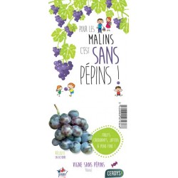 VIGNE 'Alvina' TUT C1.5L