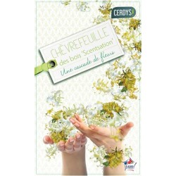 LONICERA periclymenum...