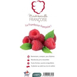 FRAMBOISIER 'Mademoiselle...