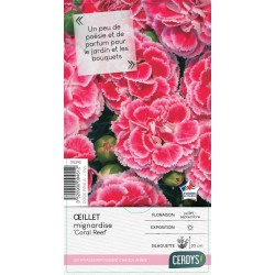 DIANTHUS Scent First®...