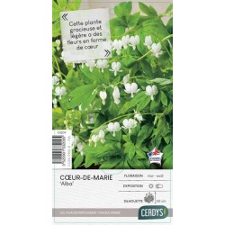 DICENTRA spectabilis 'Alba'...