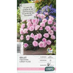 DIANTHUS Scent First®...