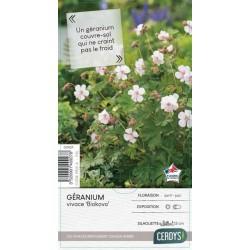 GERANIUM cantabrigiense...