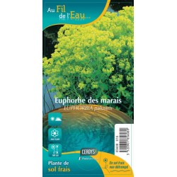 EUPHORBIA palustris G9