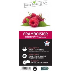 FRAMBOISIER 'Heritage' C1.5L