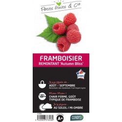 FRAMBOISIER Blissy® C1.5L