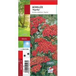 ACHILLEA millefolium...