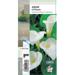 ARUM G8