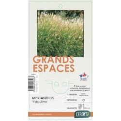 MISCANTHUS sinensis 'Yaku...