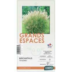 MISCANTHUS sinensis...
