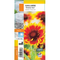 GAILLARDIA 'Arizona Sun' G8