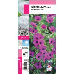 GERANIUM subcaulescens G8