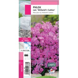 PHLOX subulata 'McDaniel's...