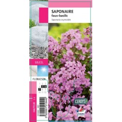 SAPONARIA ocymoides G8