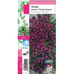 THYM praecox 'Purple...