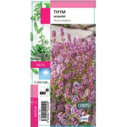 THYM serpolet G8