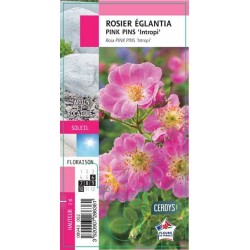 ROSIER PAY Pink Pin's® G8