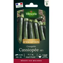 VILMORIN GRAINES...